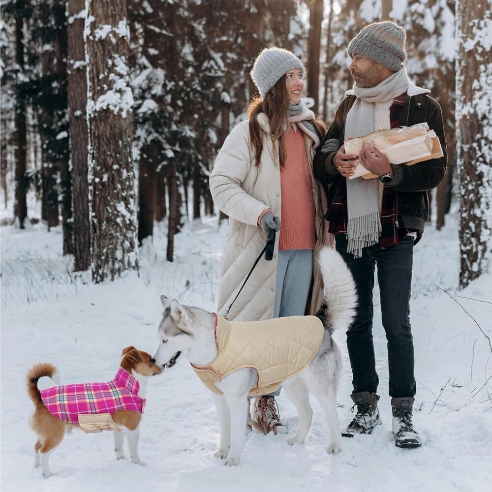 Waterproof Dog Coat Size: Small (Pack of 1)